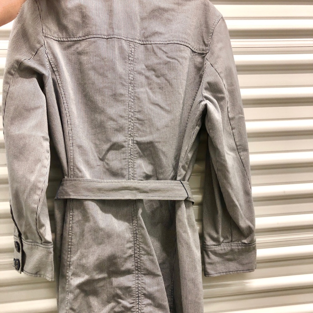 Denim Pinstripe XL Belted Trench - Picture 5 of 5